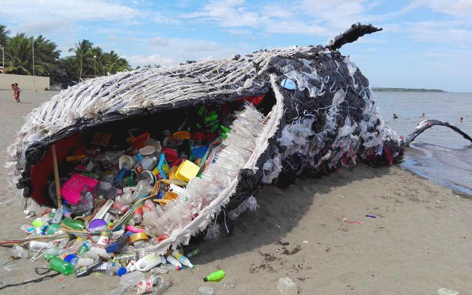 La balena morta con 40 chili di plastica nello stomaco